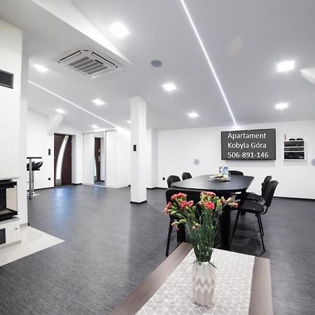 Apartament Iwona Kobyla Góra Zewnętrze zdjęcie